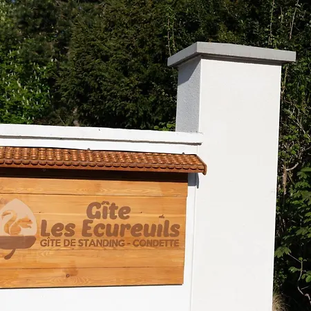 Les écureuils *