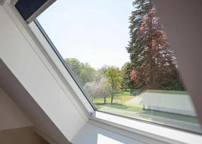 Les Ecureuils * Condette