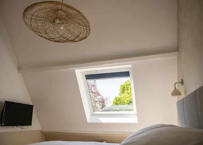 Les Ecureuils Condette